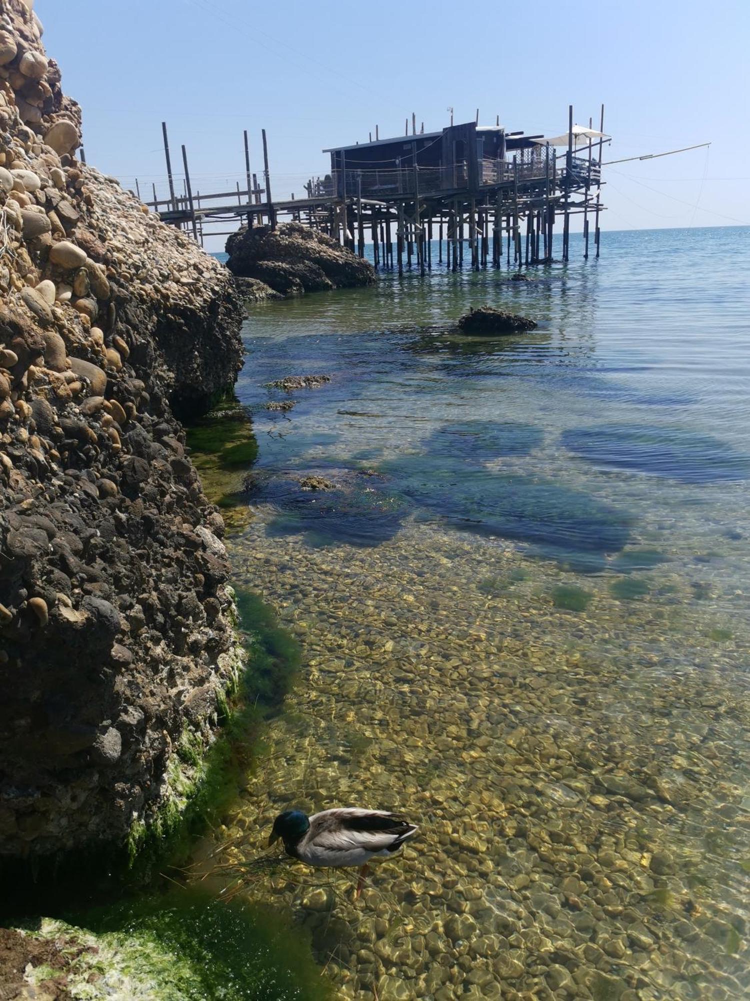 Apartmán Casa La Noce Vasto Exteriér fotografie